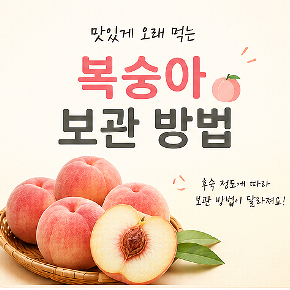 복숭아 냉장보관 방법 후숙 관리 냉동 복숭아얼리기