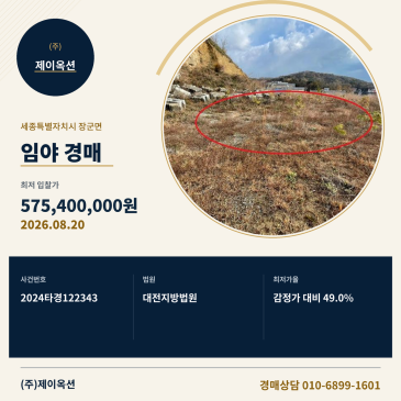 세종임야경매ㅣ세종특별자치시 장군면 봉안리 295-5ㅣ2024타경122343 썸네일