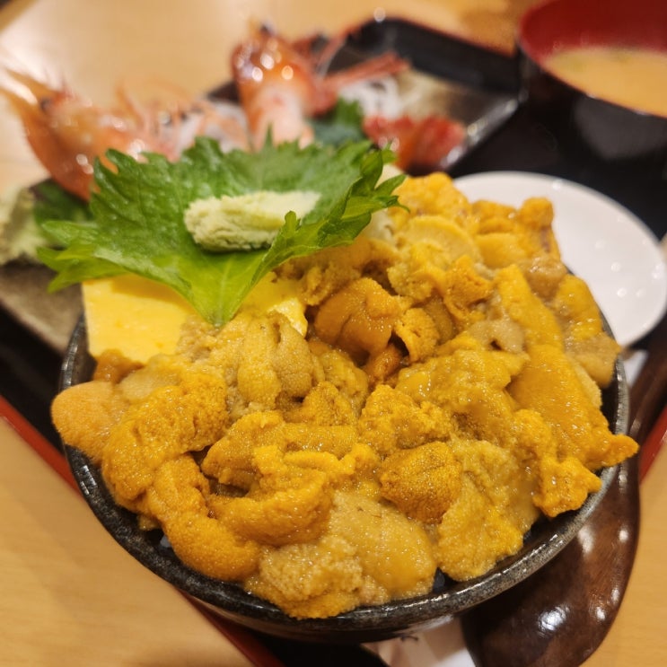 -삿포로- 삼각시장 카이센동맛집 산카쿠테이 여름 오타루여행 여름 ....