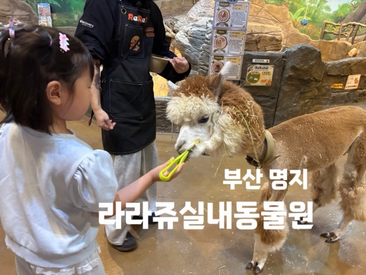 부산아이랑실내 부산실내동물원 동물먹이체험가능한 라라쥬동물원