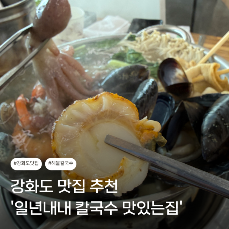 강화도 맛집 일년내내칼국수맛있는집 동막해수욕장 바로 앞 해물칼....