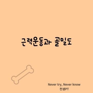 근력운동과 골밀도 네이버 블로그 대표 이미지