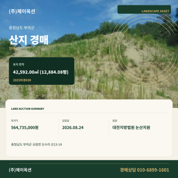 부여산지경매ㅣ충청남도 부여군 규암면 오수리 산13-14ㅣ2025타경430 썸네일
