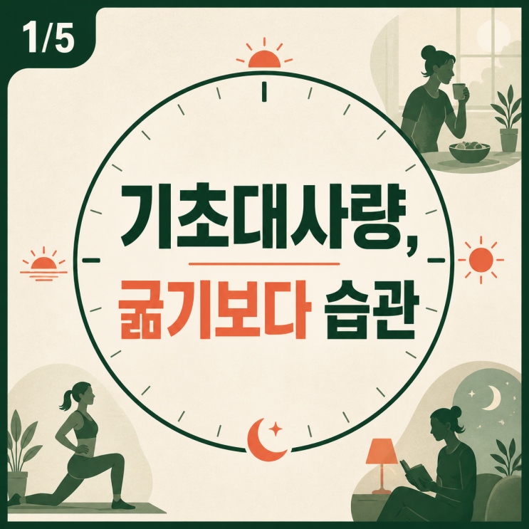 기초대사량 높이는방법, 무작정 굶기보다 먼저 바꿀 습관