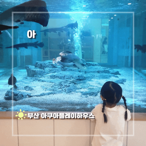 부산 아이랑 실내 가볼만한 곳 명지 아쿠아플레이하우스