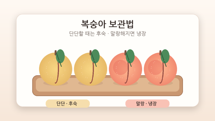 복숭아 보관법｜단단할 때와 말랑할 때 냉장 시점이 달라요