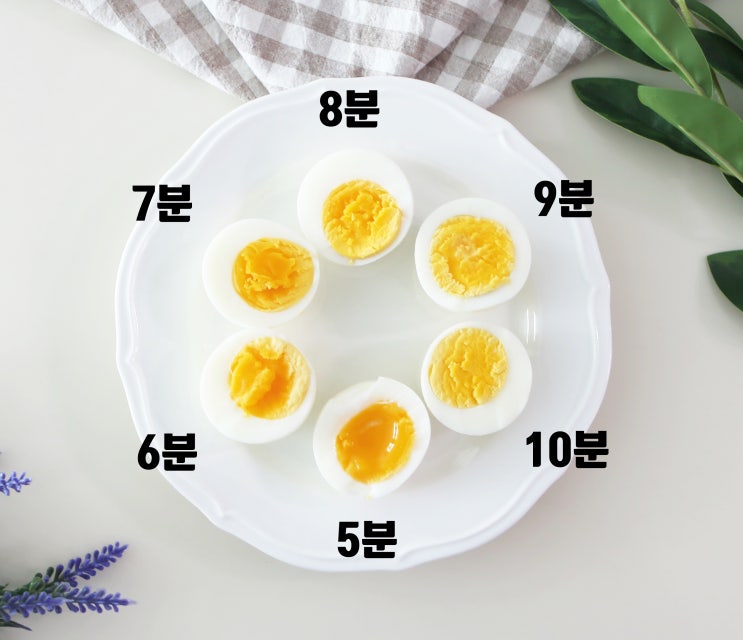 반숙 계란 삶는 시간 계란 삶는법