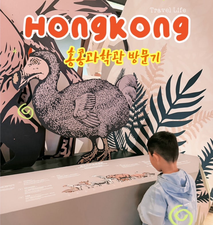 홍콩과학관 방문기: 홍콩에서 아이와 함께 실내 가볼만한 곳