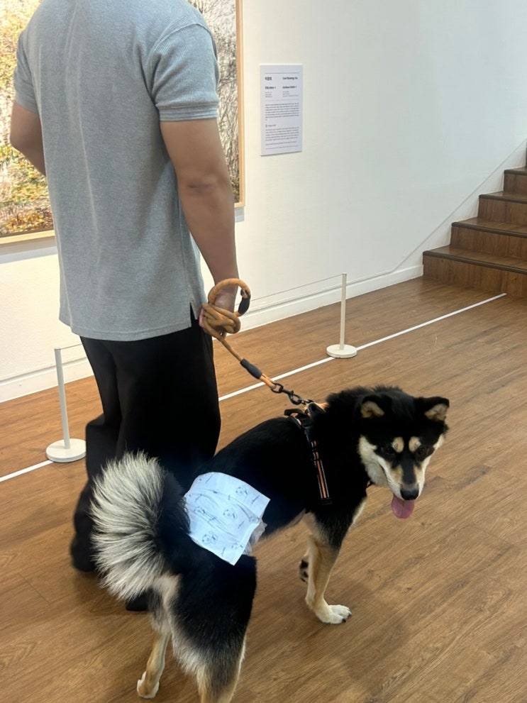 같이가개 <제주현대미술관>