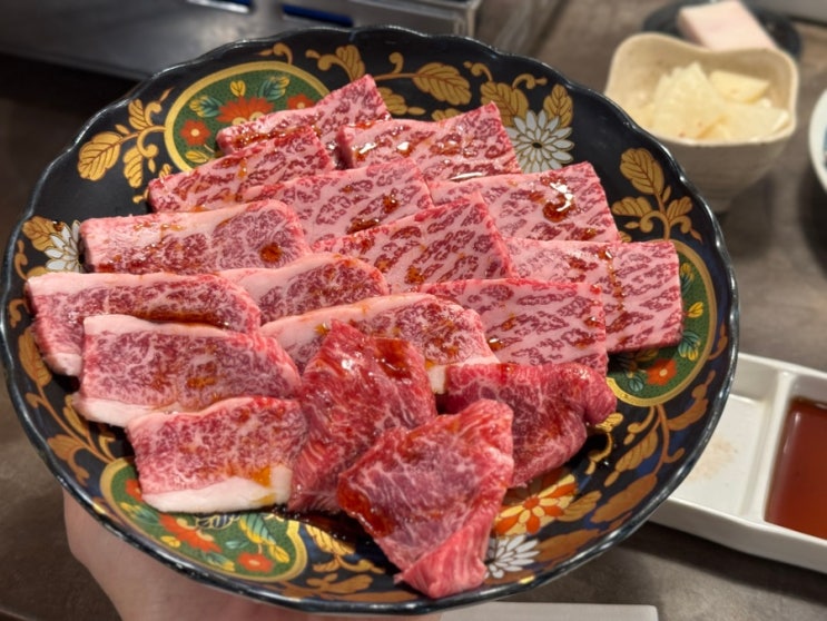 [오사카/사카이스지혼마치역] 나카모츠야 - 야키니쿠 집인데 고기는....