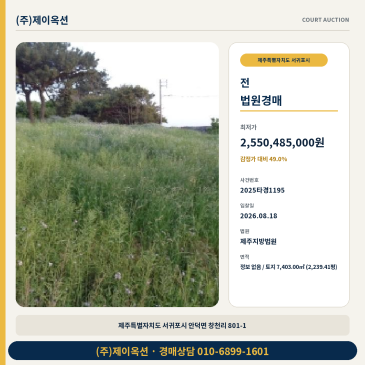 서귀포밭경매ㅣ제주특별자치도 서귀포시 안덕면 창천리 801-1ㅣ2025타경1195 썸네일