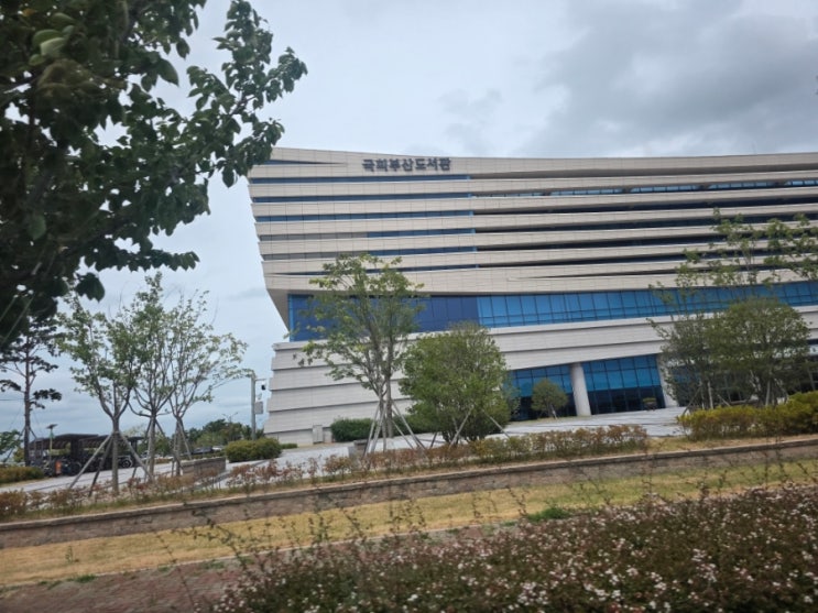 부산 아이와 가볼 만한 곳 국회부산도서관｜주차 무료, 어린이자료....