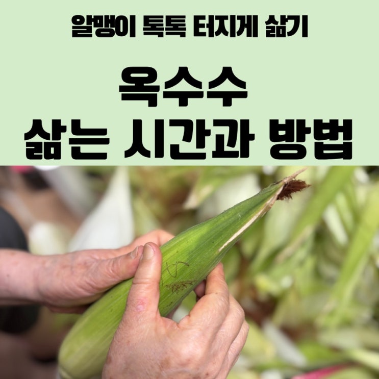 옥수수 삶는법, 알맹이 톡톡 터지게 삶는 방법