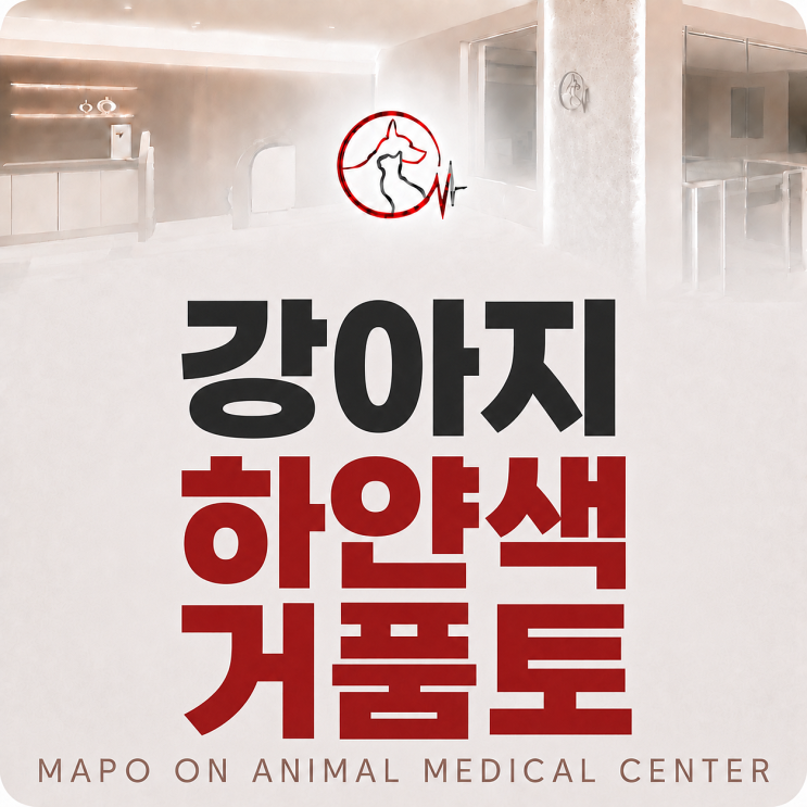 강아지 하얀색 거품토, 공복 때문일까요? 지켜볼 때와 진료가 필요한 기준 : 네이버 블로그