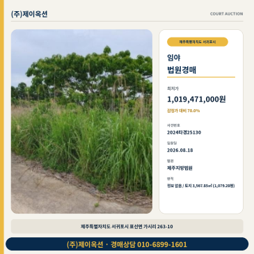 서귀포임야지분경매ㅣ제주특별자치도 서귀포시 표선면 가시리 263-10ㅣ2024타경25130 썸네일