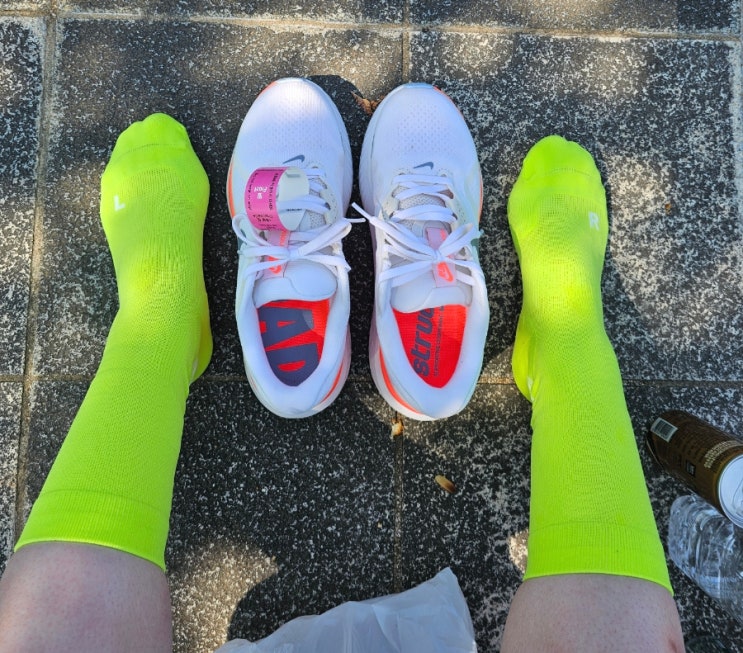영종도 컬처런 10km코스 완주! 평지라 안심했다가 햇빛에 고생한 후기