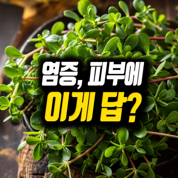 오메가-3 지방산 풍부한 장명채 쇠비름 효능 성분 염증 완화 피부 미용 효과 주의할 점