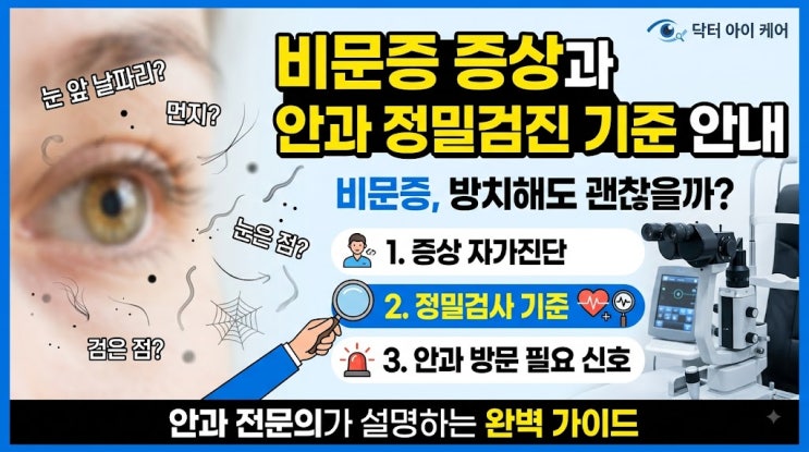 눈앞에 날파리나 먼지가 아른거릴 때, 비문증 안과 검진 꼭 받아야 하는 기준과 주의사항