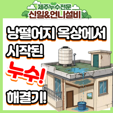 낭떠러지 옥상에 제주누수부터 계량기 배관 신설까지 여자누수 전문가의 꼼꼼한 해결책!