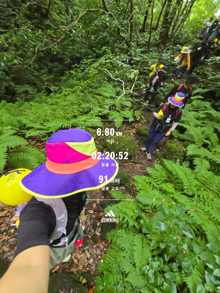 2026 제주 거문오름 트레킹｜6km 용암길, 비 오는 날 걸어본 세계자연....