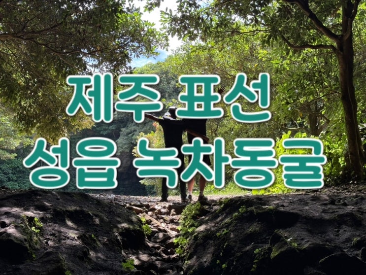 제주 표선 녹차동굴, 오설록보다 조용한 여름 녹차밭과 시원한 동굴