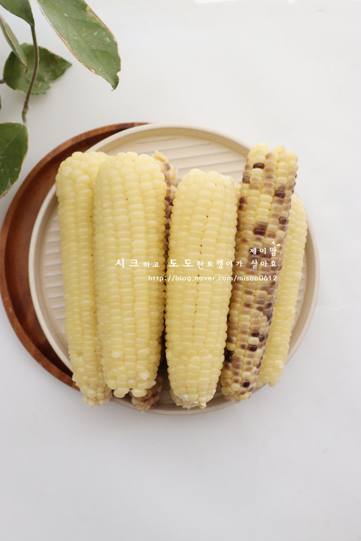 옥수수 삶는법 삶는시간 몇 분? 냉동 옥수수 맛있게 삶는방법