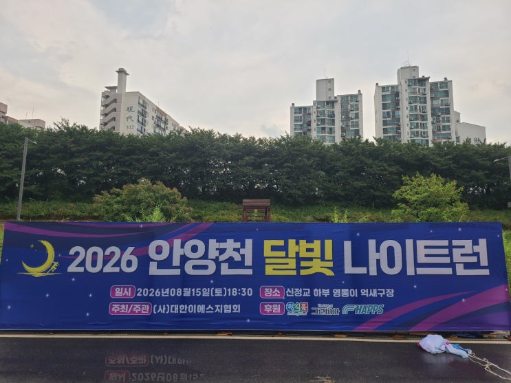 [마라톤 대회] 2026 안양천 달빛 나이트 런 참가 후기