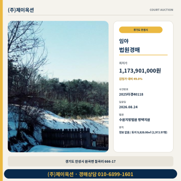 안성 원곡면 임야지분 경매 2회 유찰 최저가 49% 검토포인트 2025타경40118 썸네일