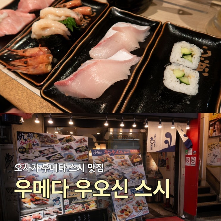 오사카 스시 우오신 우메다점 세번 째 방문 (메뉴추천, 본점 비교)