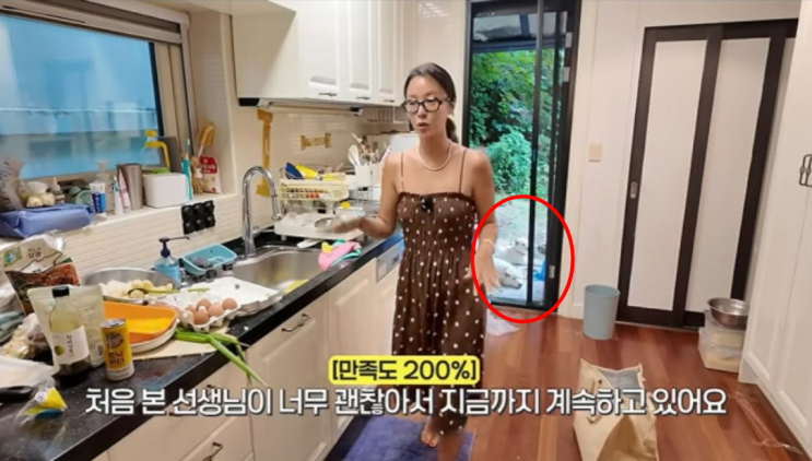 "괜찮은거 맞아?" 황정음 유튜브 영상에 쏟아진 댓글 정체