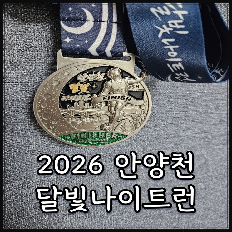 2026 안양천 달빛나이트런 10km 참가 후기 코스 등