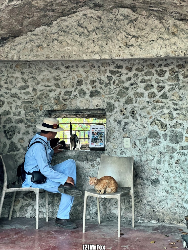 [여행] 필리핀 세부 산 페드로 요새