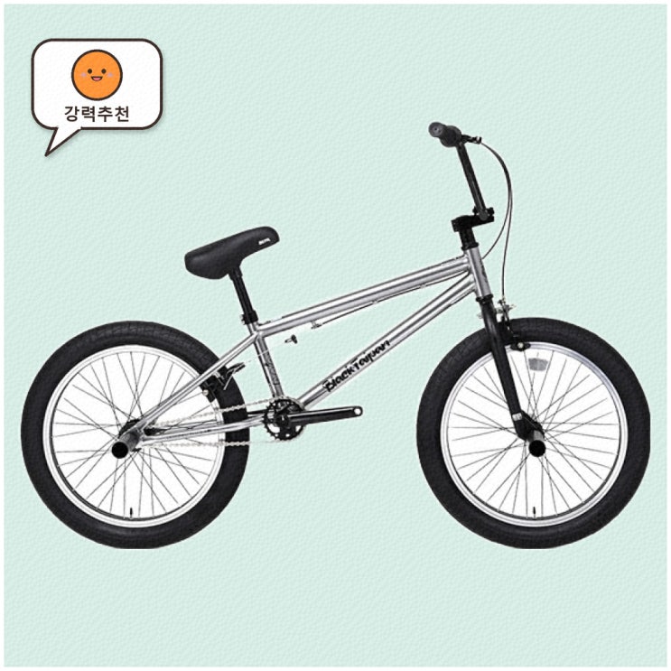2025년형 BMX 포티튜드로 묘기를 즐기자 : 네이버 블로그