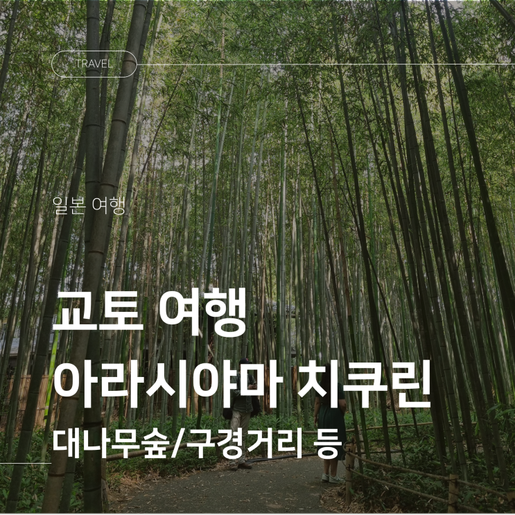 교토 아라시야마 치쿠린 대나무숲과 노노미야 신사 후기