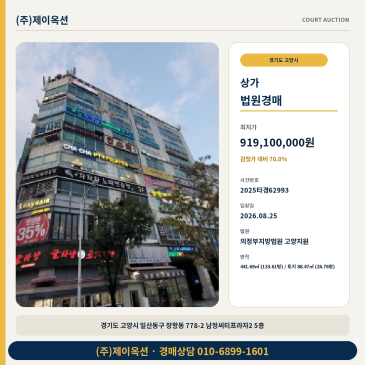 고양 일산동구 장항동 점포 경매 남정씨티프라자2 5층 2025타경62993 썸네일
