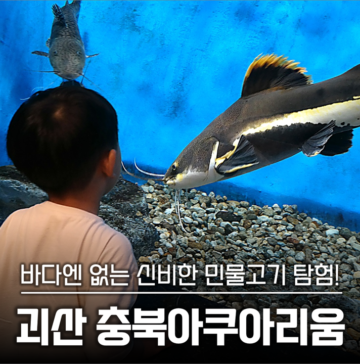 충북아쿠아리움 방문 사진