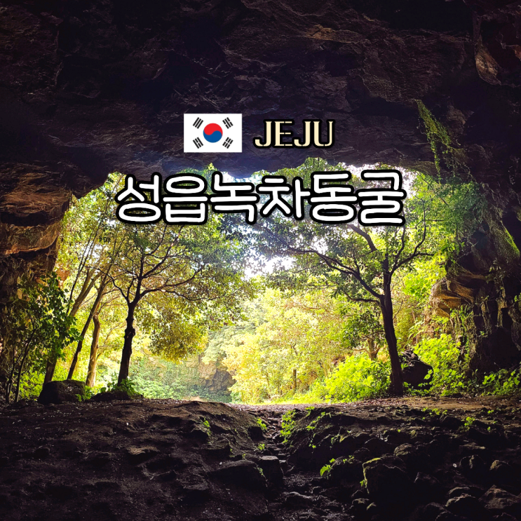 제주 녹차밭 숨은 포토존 성읍녹차동굴, 오늘은녹차한잔 표선 가볼....