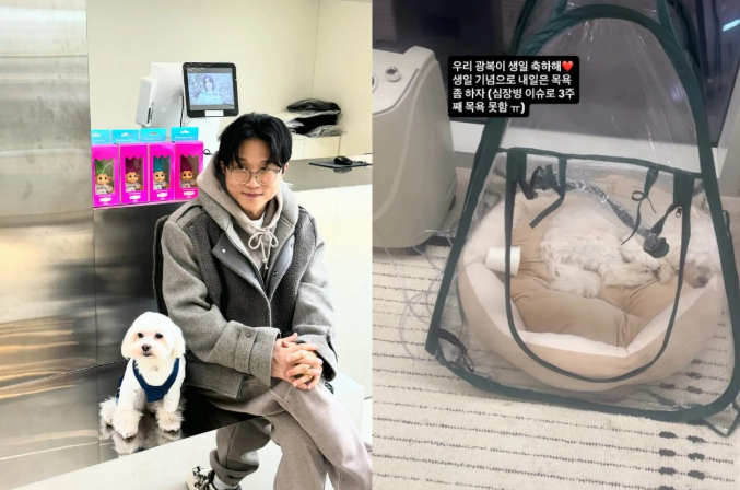박성광 반려견 광복이 심장병 투병 산소방에서 생일 아내 이솔이 이....