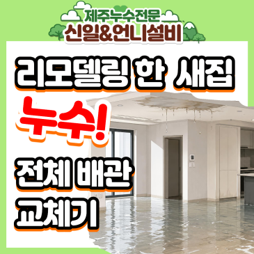 제주누수 전문_제주도누수 일도이동 빌라 현장! 겉만 바꾼 리모델링의 함정과 제주누수탐지전문 해결기