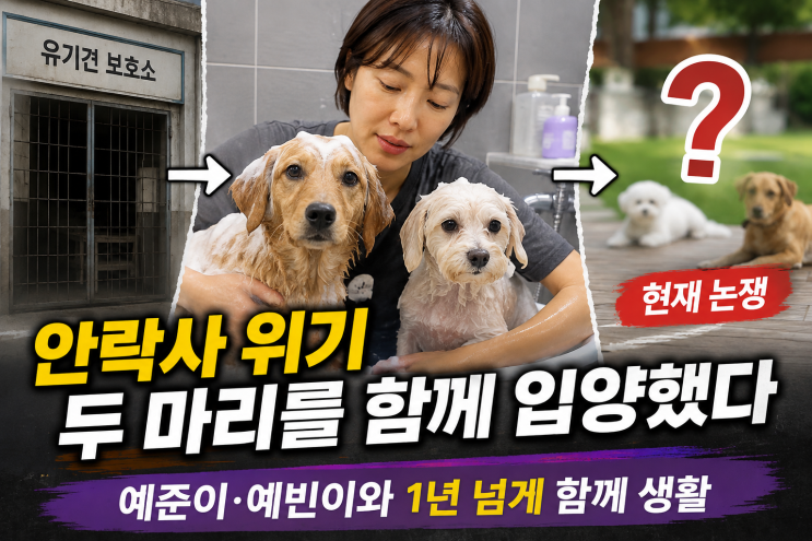 폭염인데 반려견을 마당에?” 황정음 일상 영상 후 갑론을박…직접 확인된 장면은?