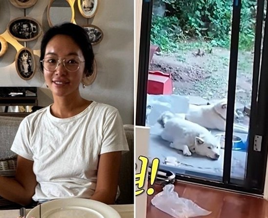 "또 황정음?" 마당에 남겨진 개 두 마리…댓글창이 반으로 갈라진 진짜 이유