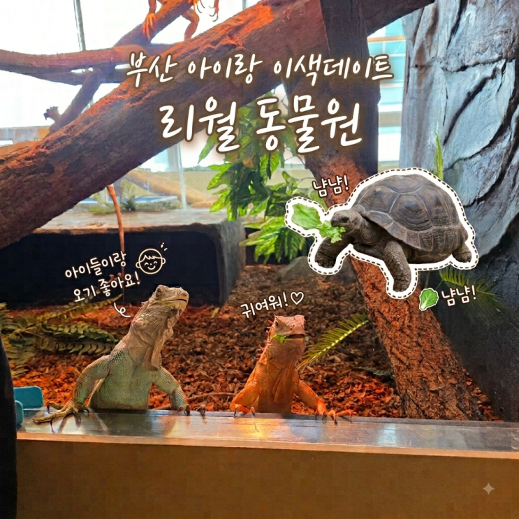 명지 실내 아이랑 갈만한곳 추천! 대형 도마뱀 먹이체험 가능한 부....