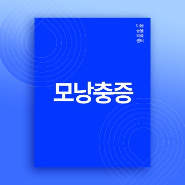 오창동물병원 강아지 탈모 원인 모낭충증