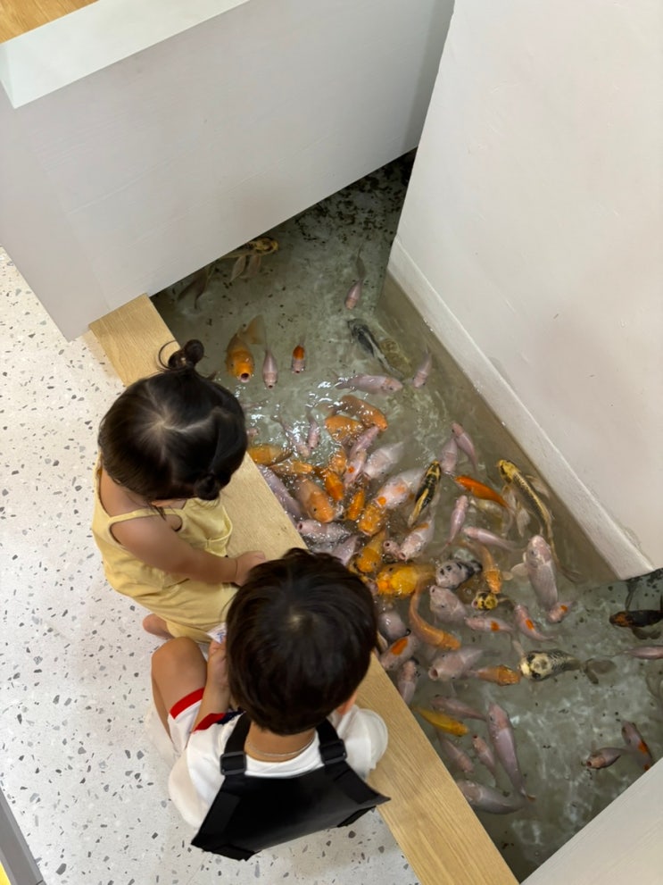(부산 명지 키즈카페)명지 아쿠아 플레이스 아이와 다녀온 후기｜워....