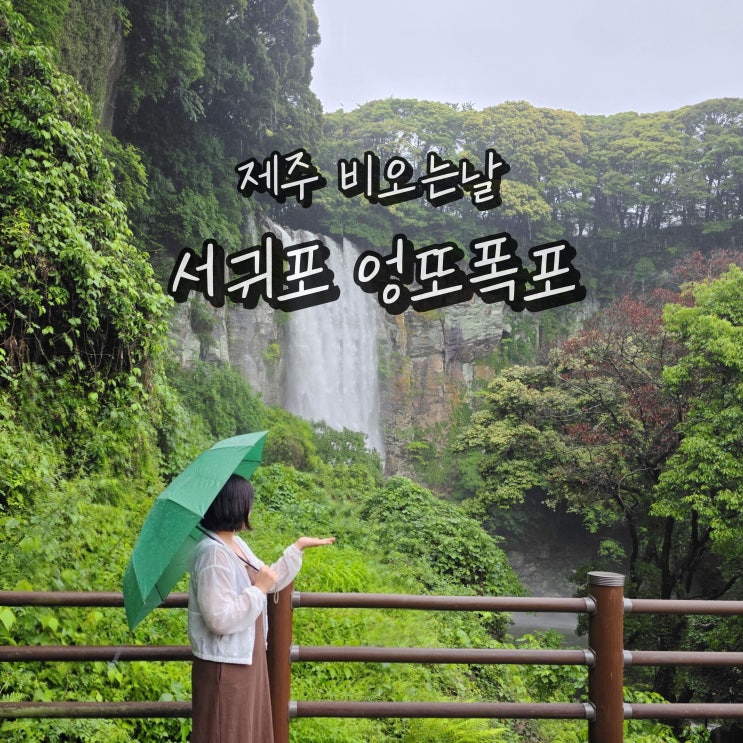 제주도 엉또폭포 실시간 제주 비오는날 여행 올레길 7코스