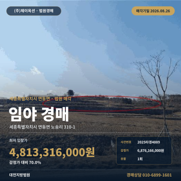 세종산경매 대전지법ㅣ세종 산 경매 2025타경4089 썸네일