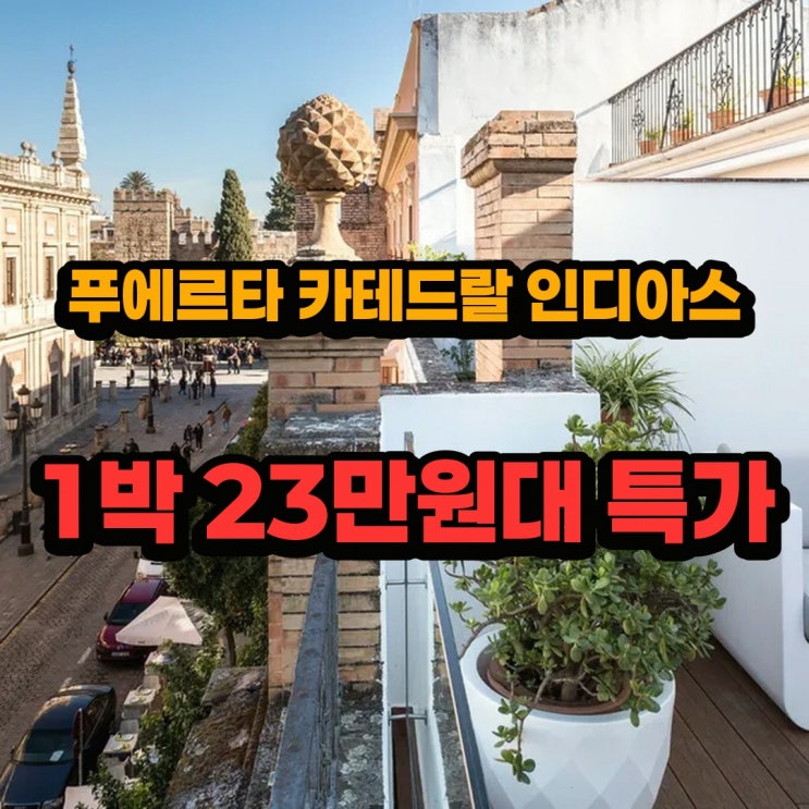 카스코 안티구오 푸에르타 카테드랄 인디아스 로프트 근처 숙박 특....