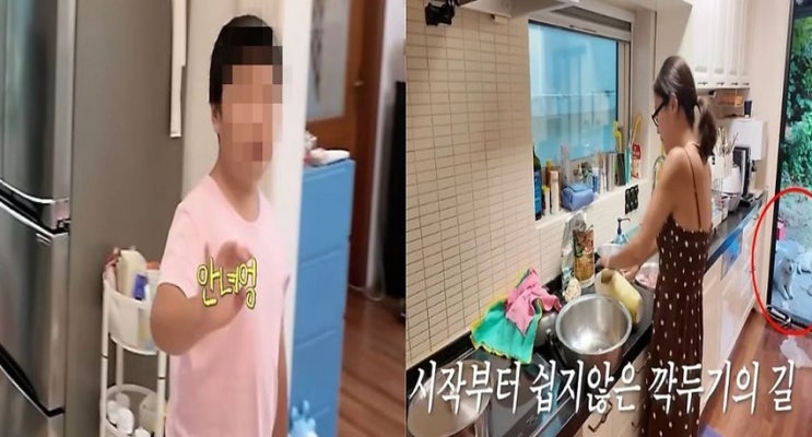 황정음 마당 강아지 논란, 근데 그 개들 정체 알고 나면 말이 달라집니다