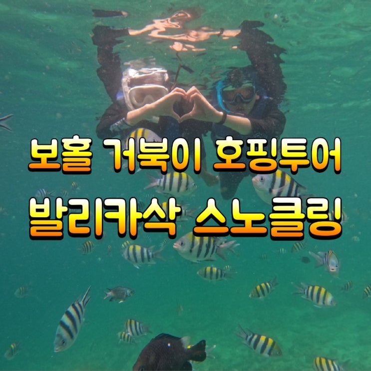 보홀 거북이 호핑투어 스노클링 후 발리카삭섬 식당에서 점심