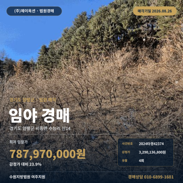 양평토지경매ㅣ경기도 양평군 서종면 수능리 산14ㅣ2024타경42374 썸네일